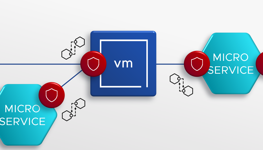 VMware API Security